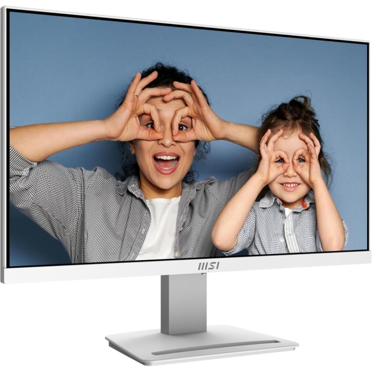 MSI PRO MP253W 24.5" IPS 1920 X 1080 (FHD) 300 CD/M2 COMPUTER MONITOR, 100HZ, HDMI, DP -VGA W/ SPEAKER, 1MS