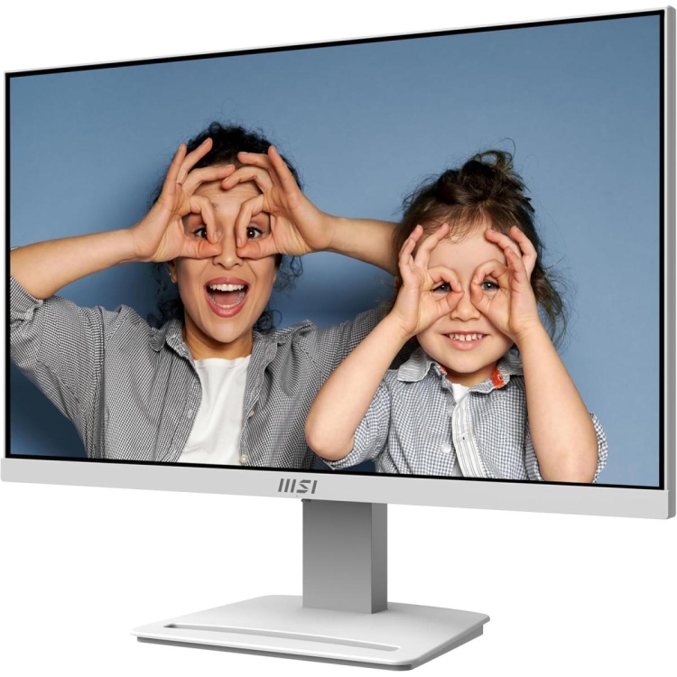 MSI PRO MP253W 24.5" IPS 1920 X 1080 (FHD) 300 CD/M2 COMPUTER MONITOR, 100HZ, HDMI, DP -VGA W/ SPEAKER, 1MS