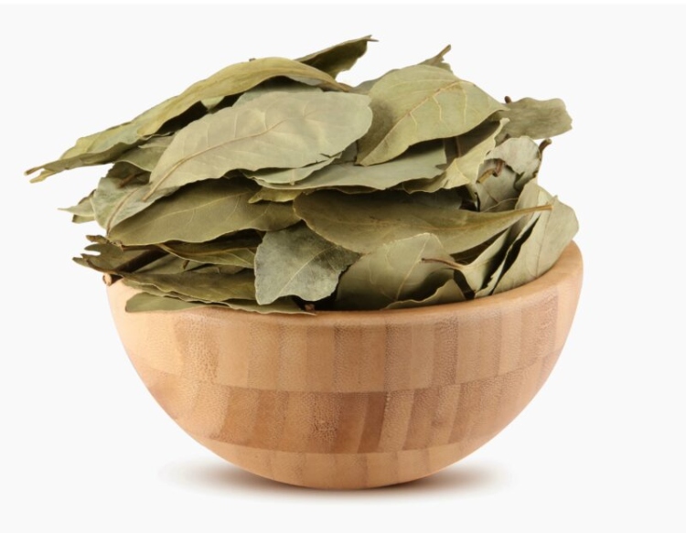ورق غار