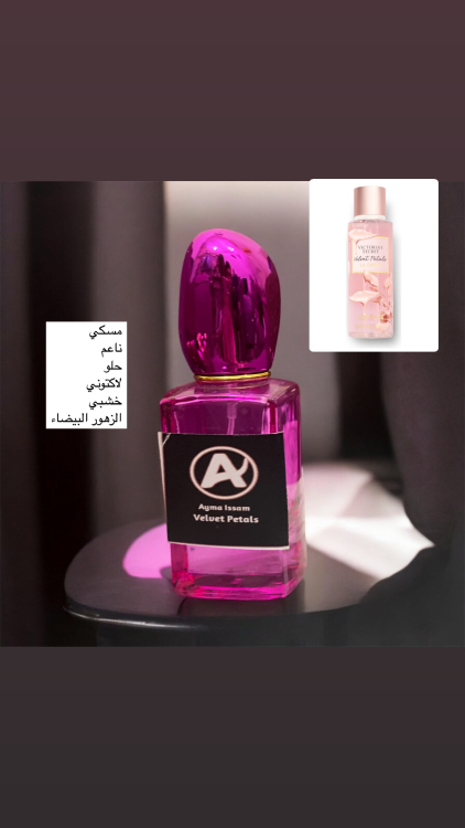 فيلفيت بيتال 