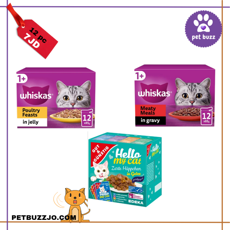 Wet food box offers (12 pcs *100gm) mix flavours 