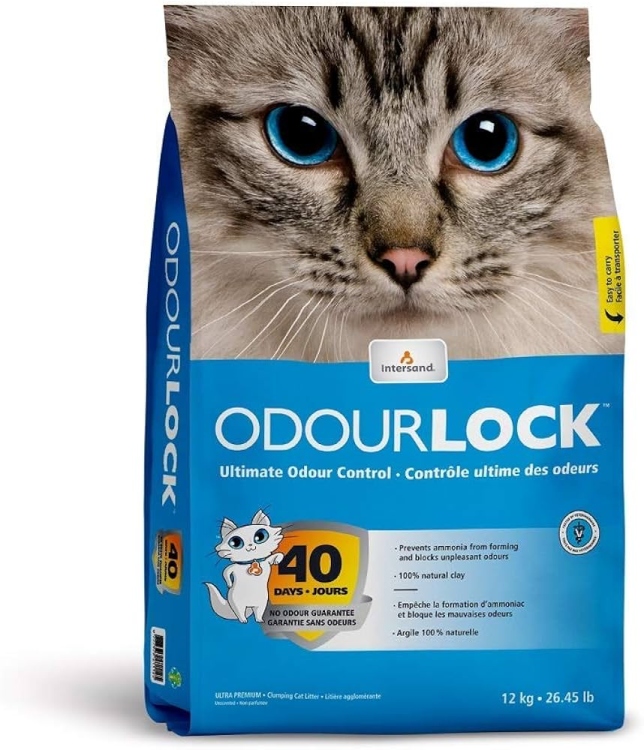 Intersand ODOURLOCK unscented 