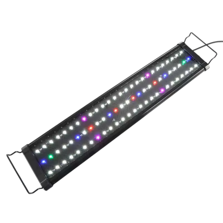 إضاءة LED  احترافية  