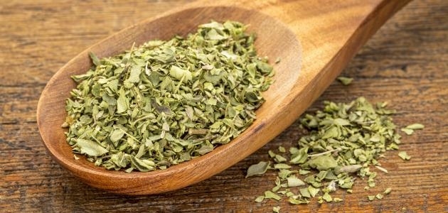 زعتر اورجانو