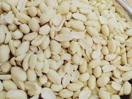 فستق ني