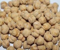 قضامة بلدية