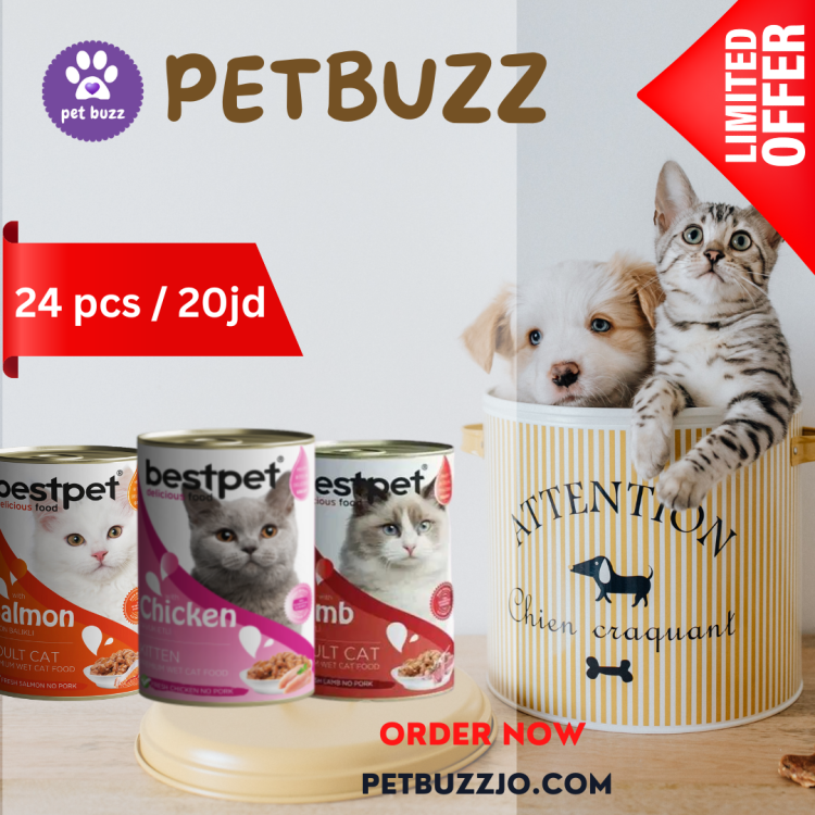 BESTPET cans for cat 400gm  (24 pcs) offer  