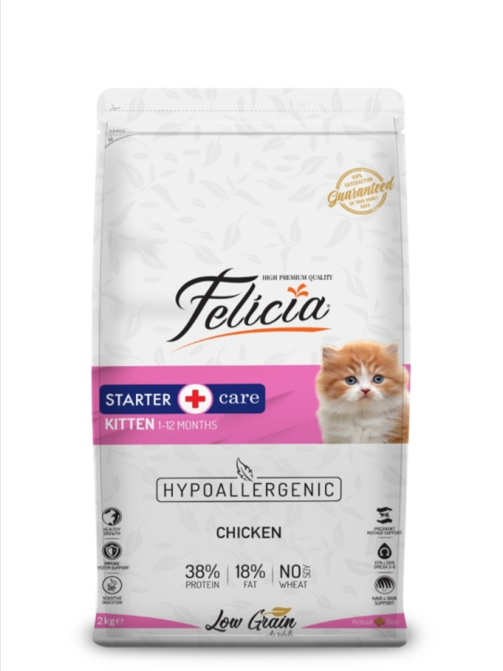 Felicia kitten 2 kg 