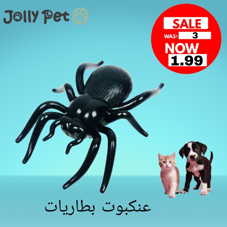 عنكبوت بطاريات 