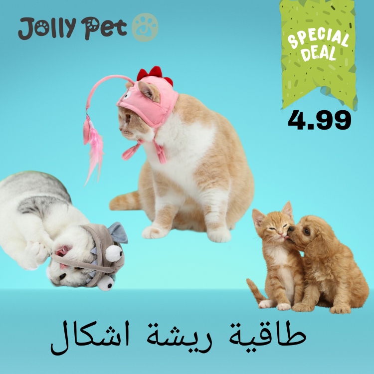 طاقية ريشة