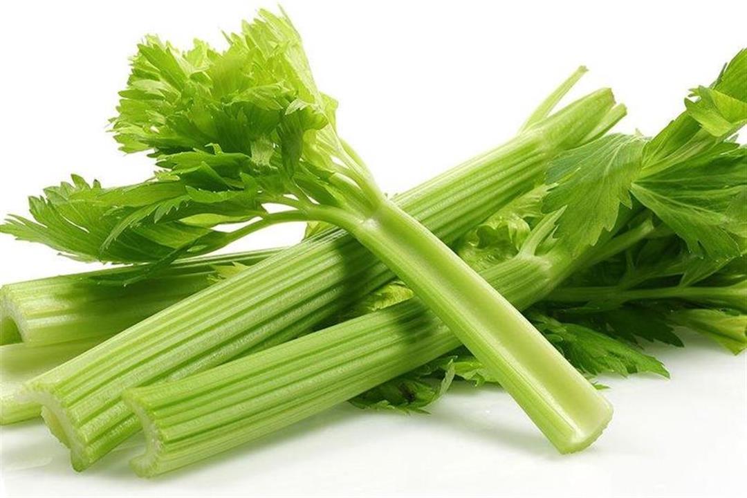 كرفس