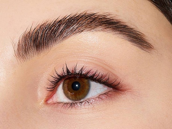 Eyebrow
