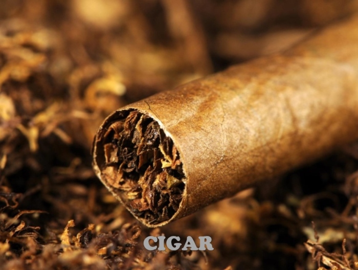 Cigar