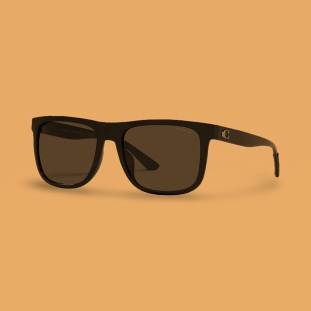 EyeframesInt - COACH - Authorized Dealer