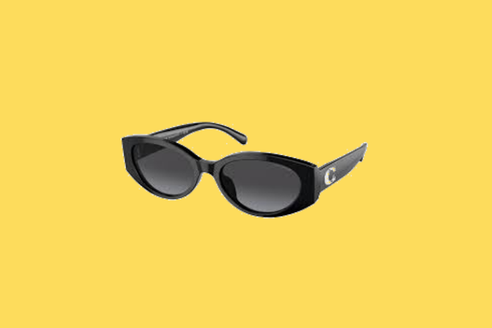 EyeframesInt - COACH - Authorized Dealer