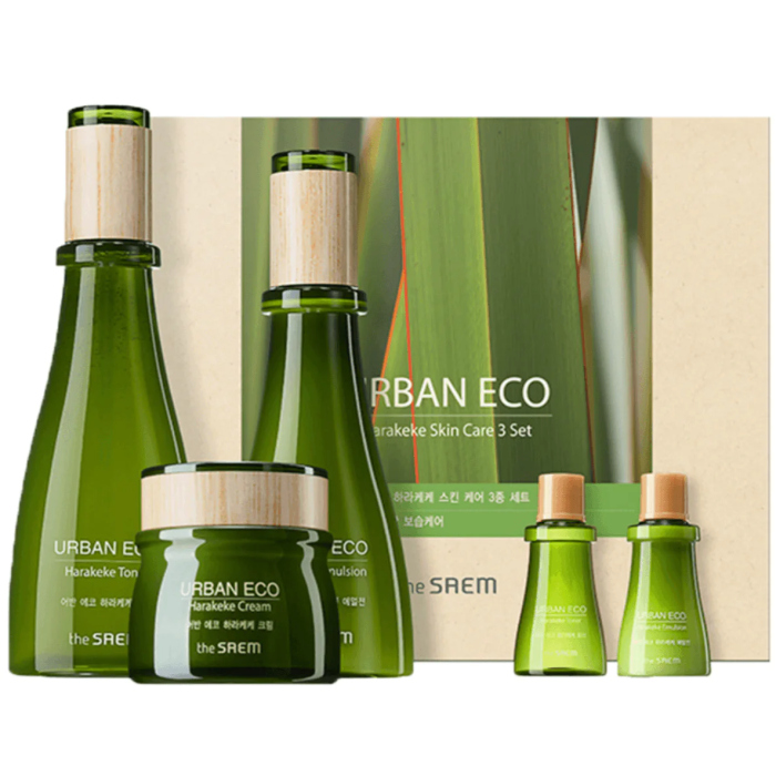 THE SAEM