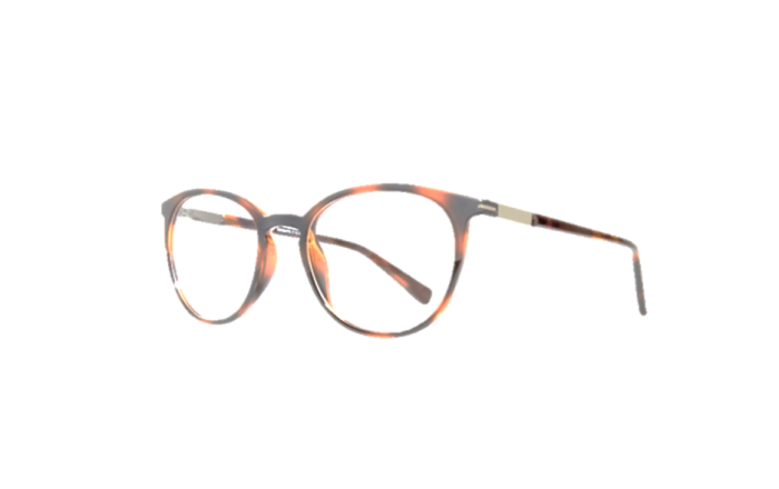 EyeframesInt-BH-Eyewear