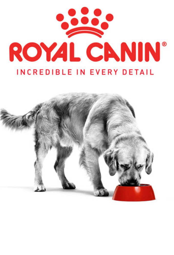 Royal canin dogs