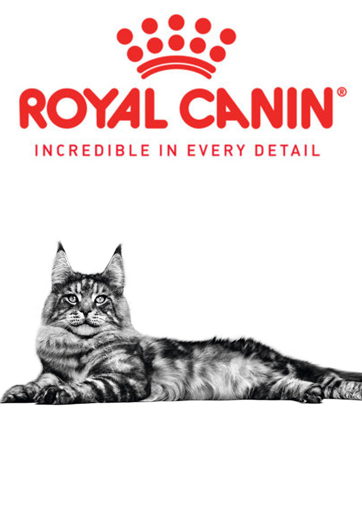 Royal canin cats